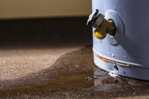 Best Flooded house restoration  in Wentzville, MO