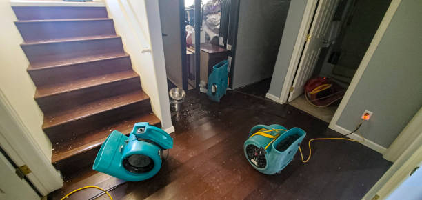 Best Carpet water damage restoration  in Wentzville, MO