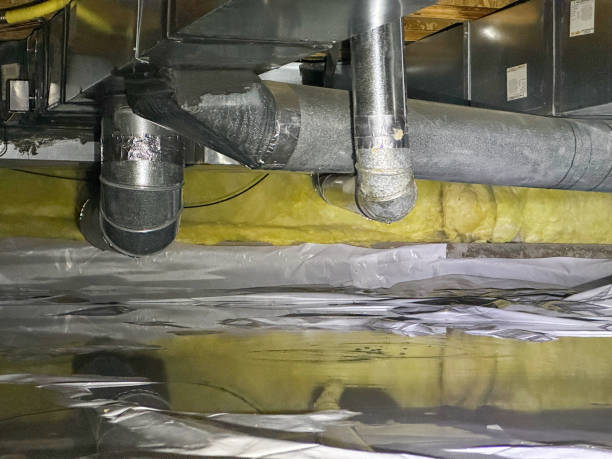Best Local water damage restoration  in Wentzville, MO