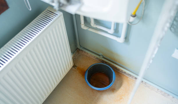Best Water damage restoration near me  in Wentzville, MO