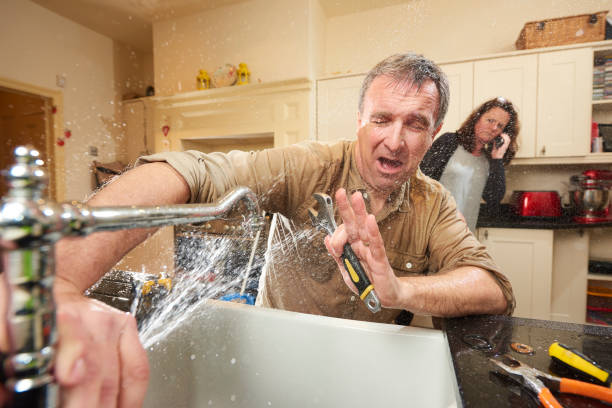 Best Flood restoration services  in Wentzville, MO